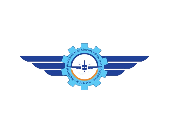 NAAPE Quarterly Magazine now out!